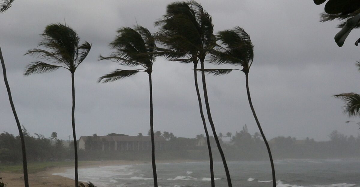 El Ni o and La Ni a multi-year events could become more common