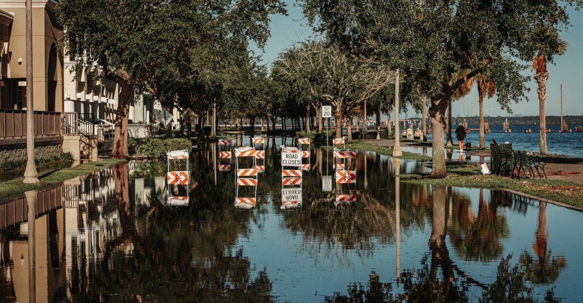A flooded street with road closed signs reflecting in the water along a tree-lined sidewalk
