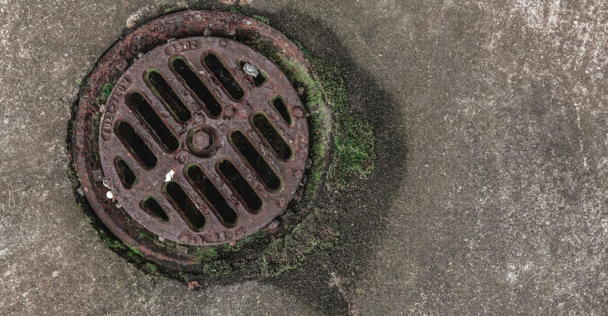 Close-up photo of a rusty drain grate with moss offering a textured urban look