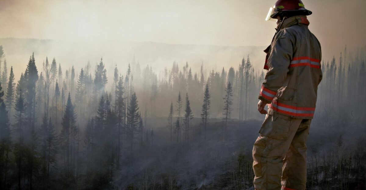 A firefighter in uniform surveys the aftermath of a forest fire with smoke rising through the trees