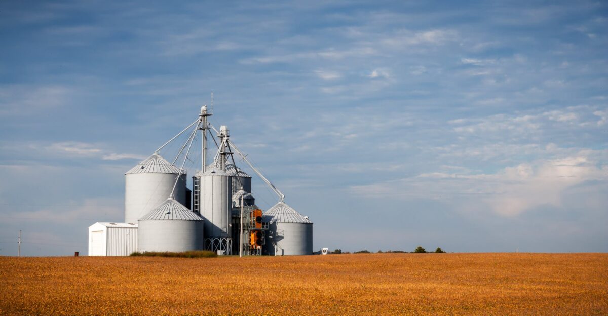 Grain storage silos in a golden agricultural field under a clear blue sky