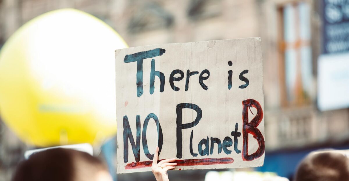 Protest sign at climate change rally reading There is no Planet B