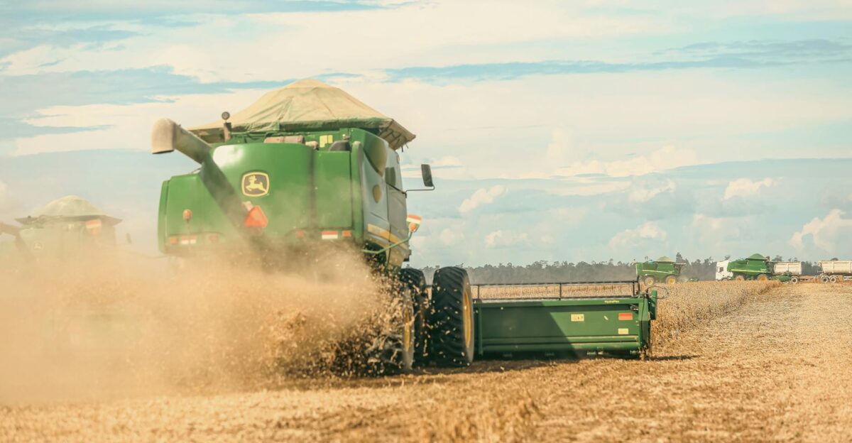 A combine harvester in action during a soybean harvest on a Brazilian farm
