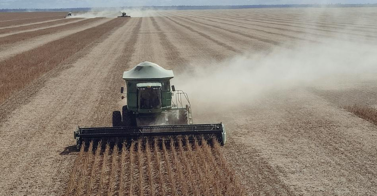 Aerial view of a combine harvester working in a vast soybean field under a cloudy sky