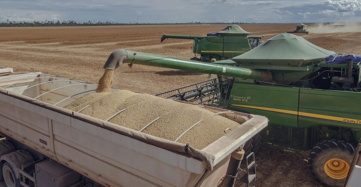 Combine harvesters loading soybeans into a truck in Paragominas Brazil