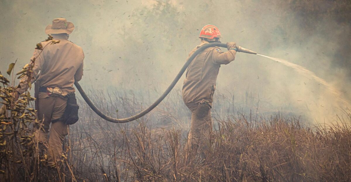 Two firefighters combatting a wildfire in Mato Grosso Brazil showcasing courage and teamwork