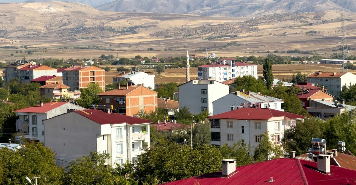 Rudnevo settlement