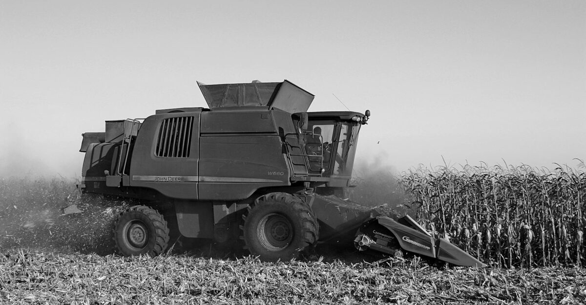 Monochrome image of a combine harvester working in a cornfield in Ukraine