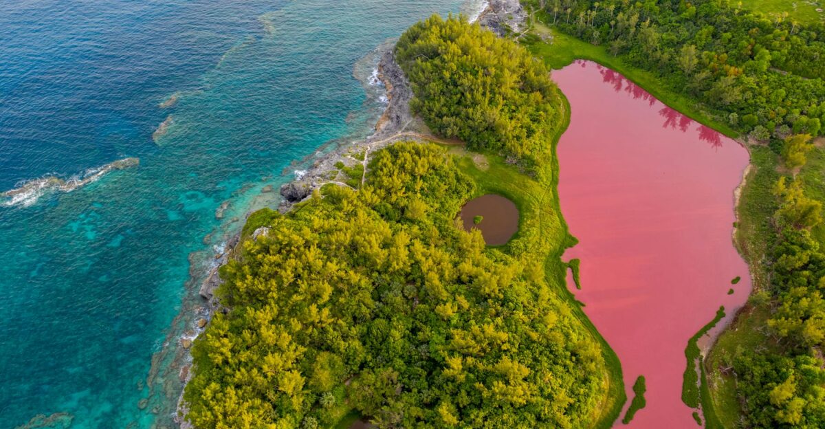 Stunning aerial shot of Bermuda s coastline with lush greenery and vibrant waters