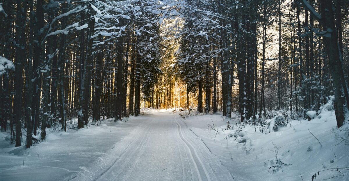 Stunning snowy path through a winter forest in Ebensee Austria with sunlight filtering through trees
