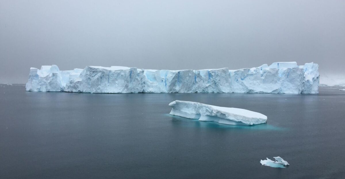 A serene view of sprawling icebergs floating in calm arctic waters under a cloudy sky