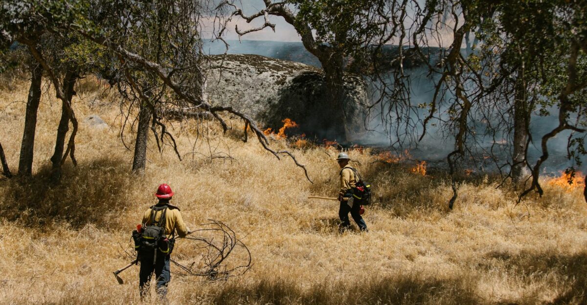 Brave firefighters controlling a wildfire in a dry Californian landscape