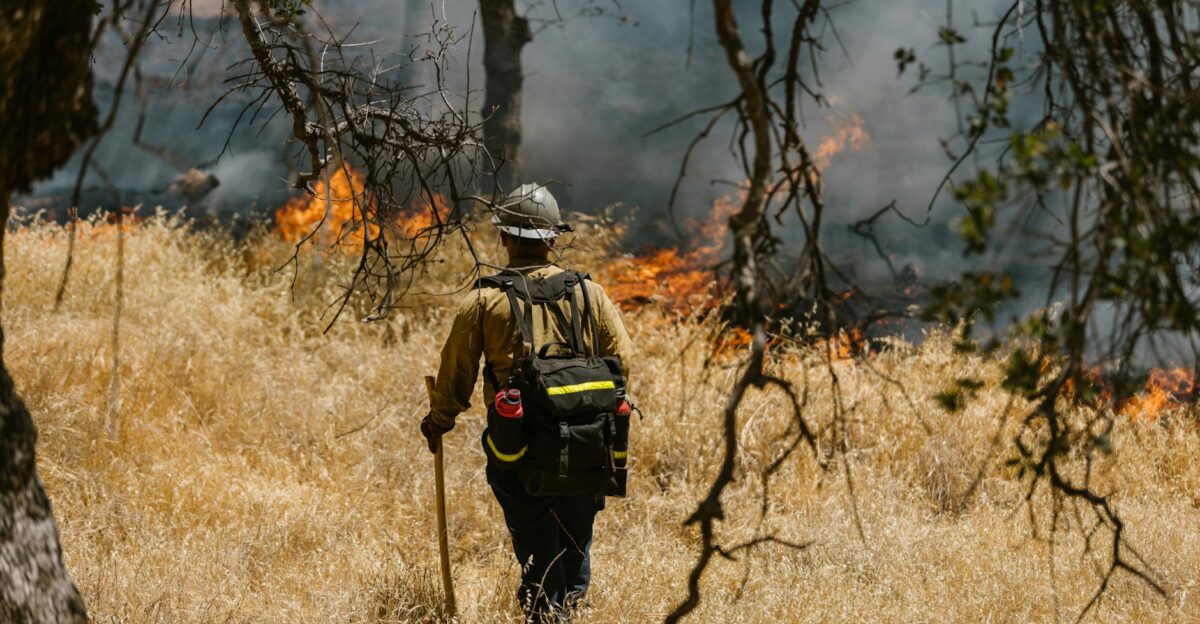 A firefighter in uniform battling a fierce forest wildfire amidst dry grass and trees