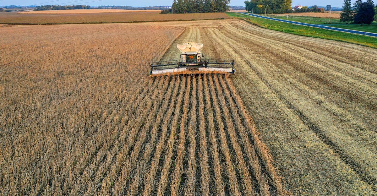 Drone shot capturing a combine harvester harvesting soybeans in a rural Minnesota farm field