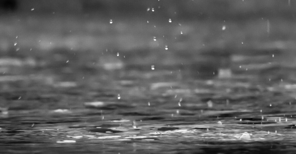 grayscale photography of raindrops