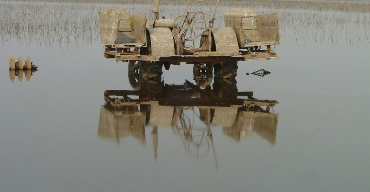 brown cultivator on rice field