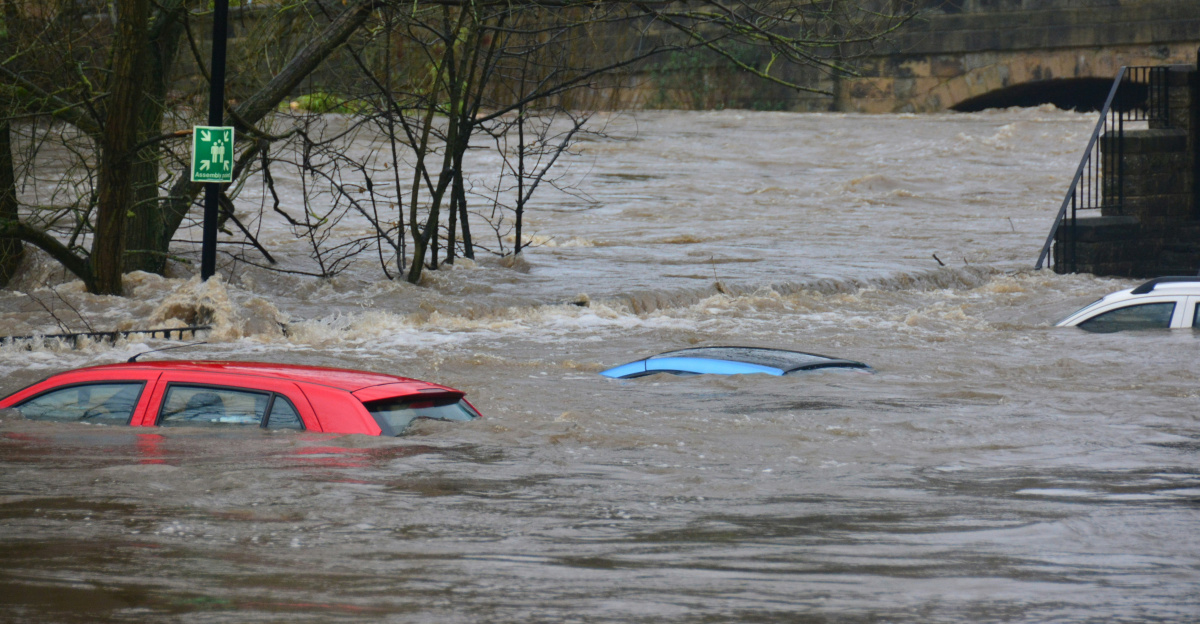 car on body of water