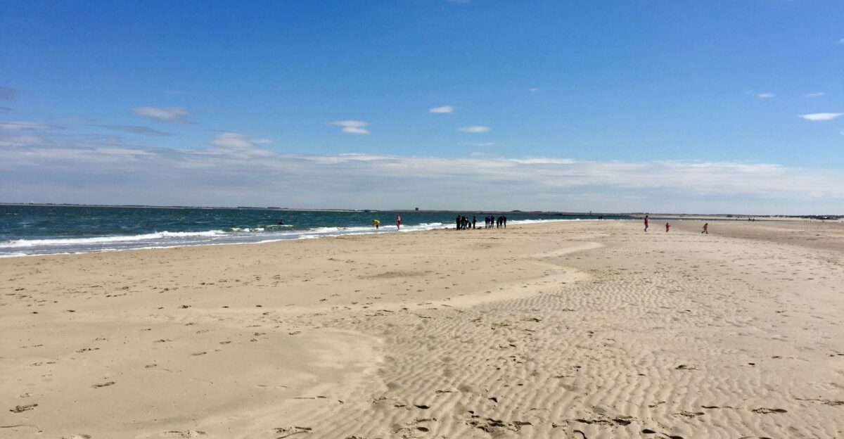 people walking near seashore viewing sea under blue and white skies