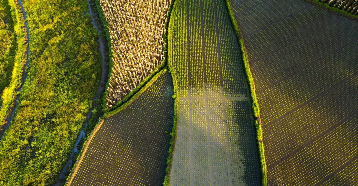 green and gray textile on brown wooden table