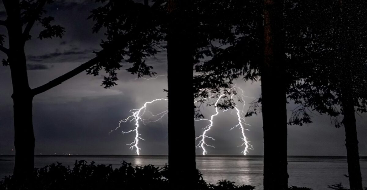 silhouette of trees near body of water during night time