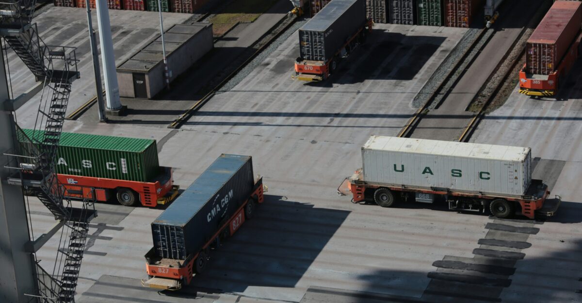 white and green bus on road during daytime