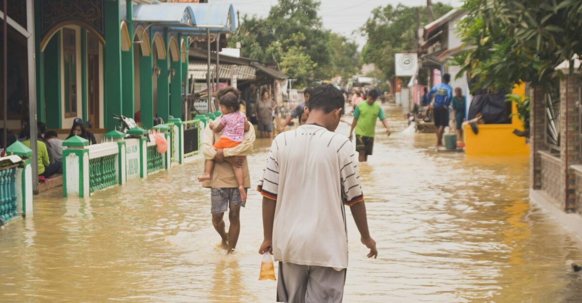 people walking on street during daytime