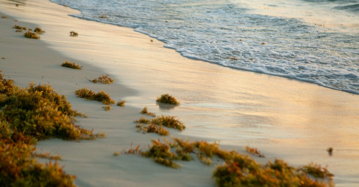 people on beach during daytime