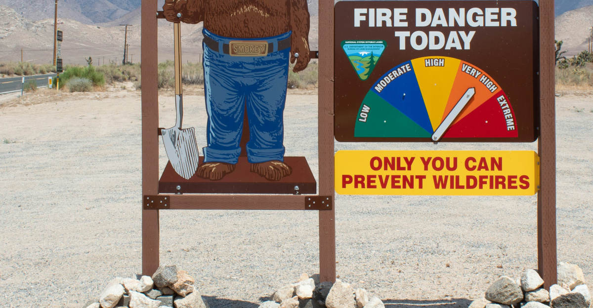 brown wooden signage on brown sand during daytime