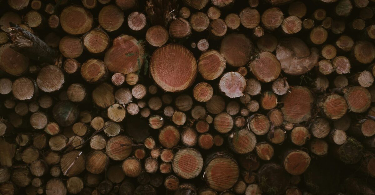 a large pile of logs stacked on top of each other