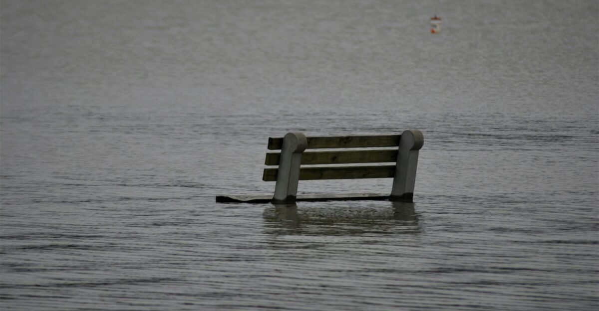 a bench sitting in the middle of a body of water
