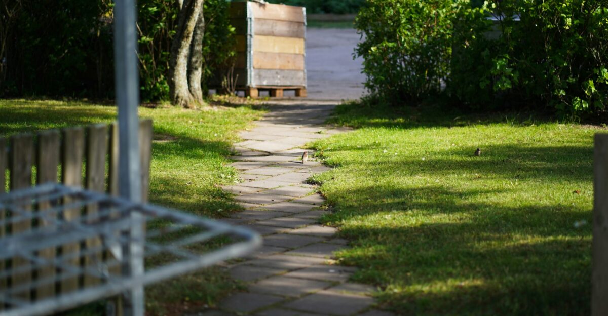 a bench on a sidewalk