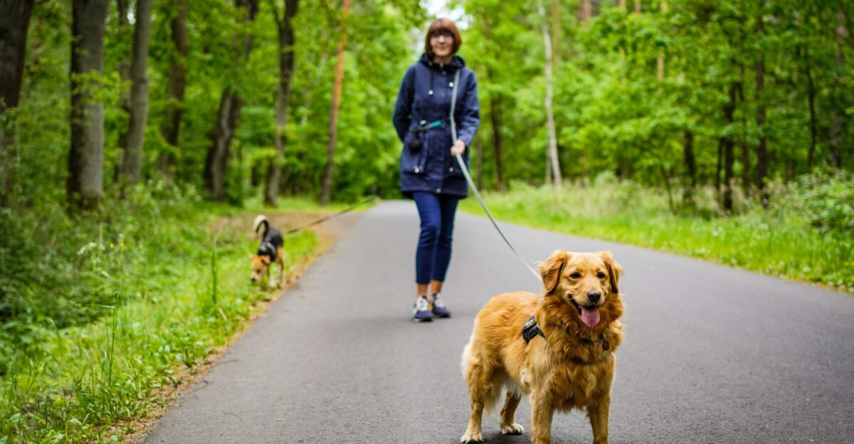 a person walking a dog on a leash on a path in the woods
