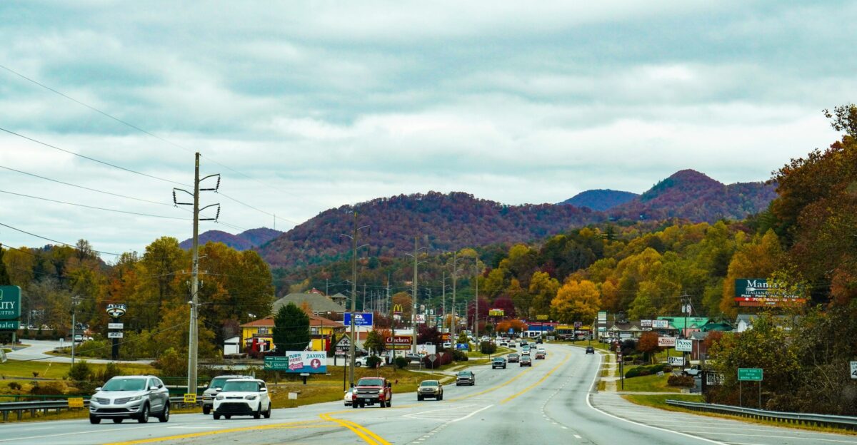 a road with cars on it and trees on the side
