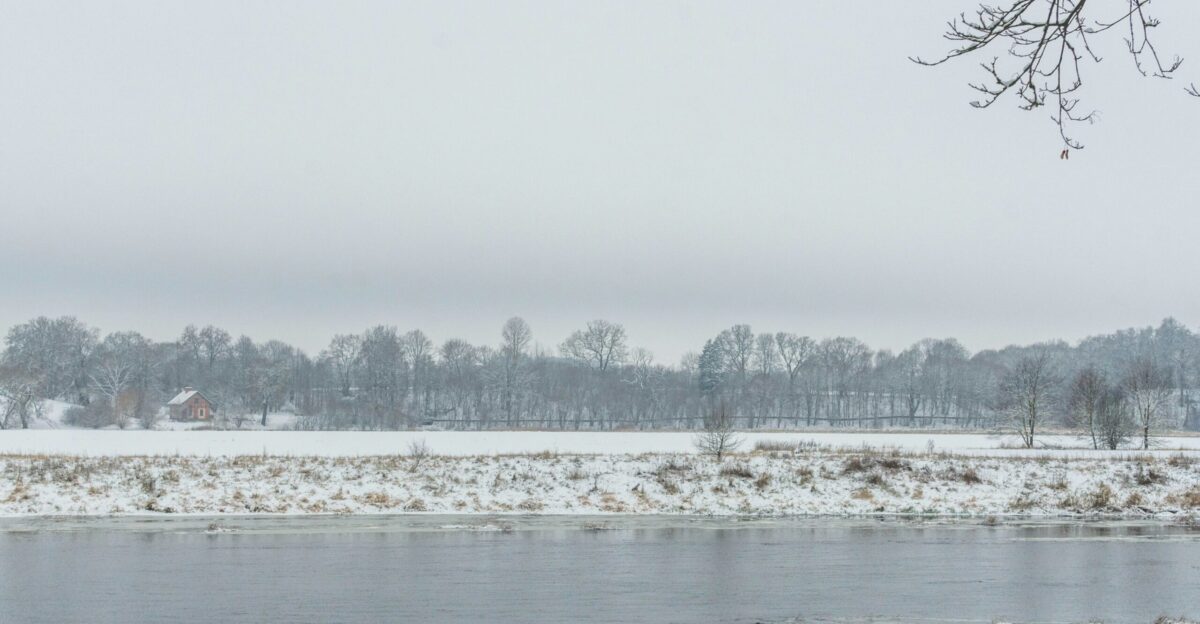 a lake with snow and trees
