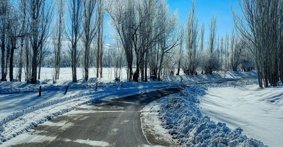 a snow covered road surrounded by trees and snow