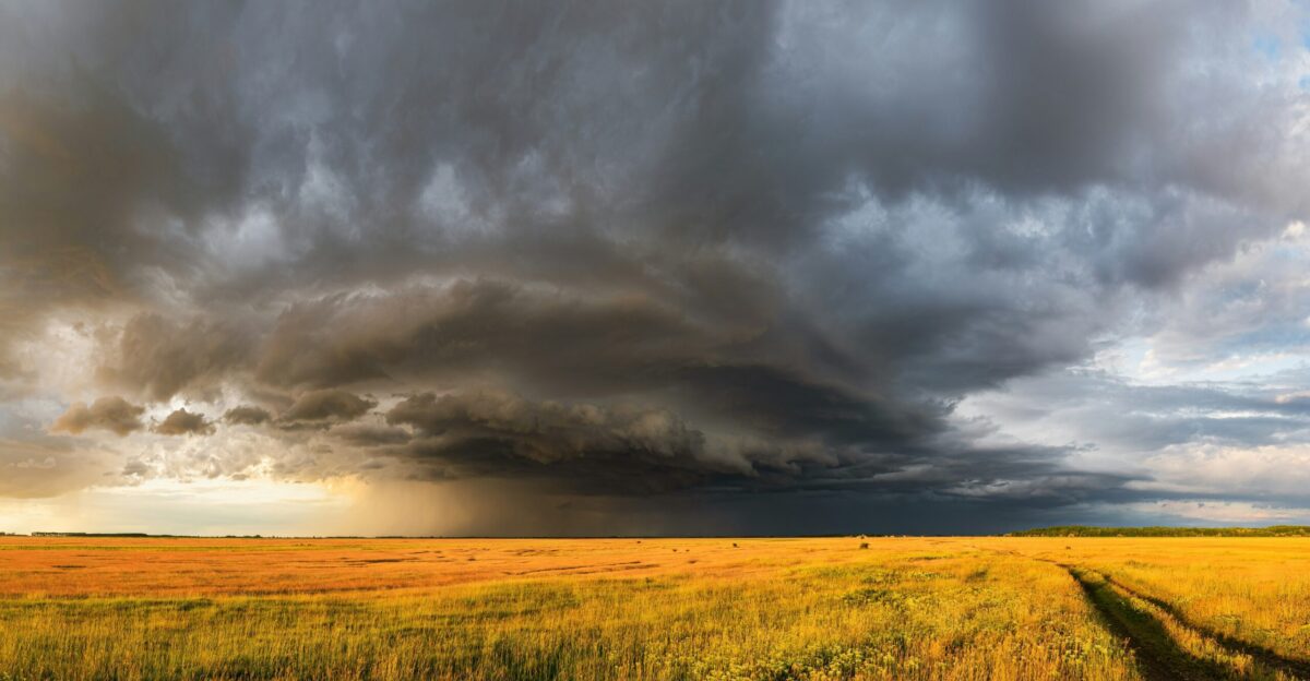 a large field of grass under a cloudy sky