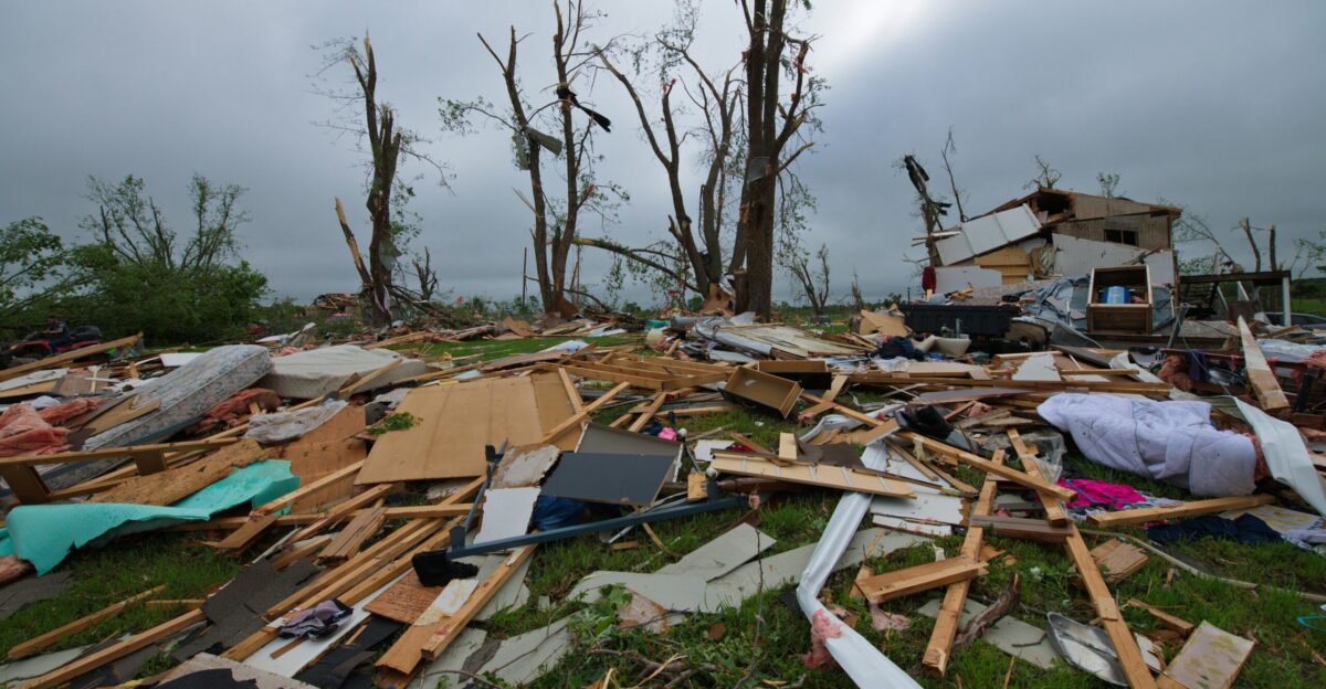 a pile of debris sitting on top of a lush green field