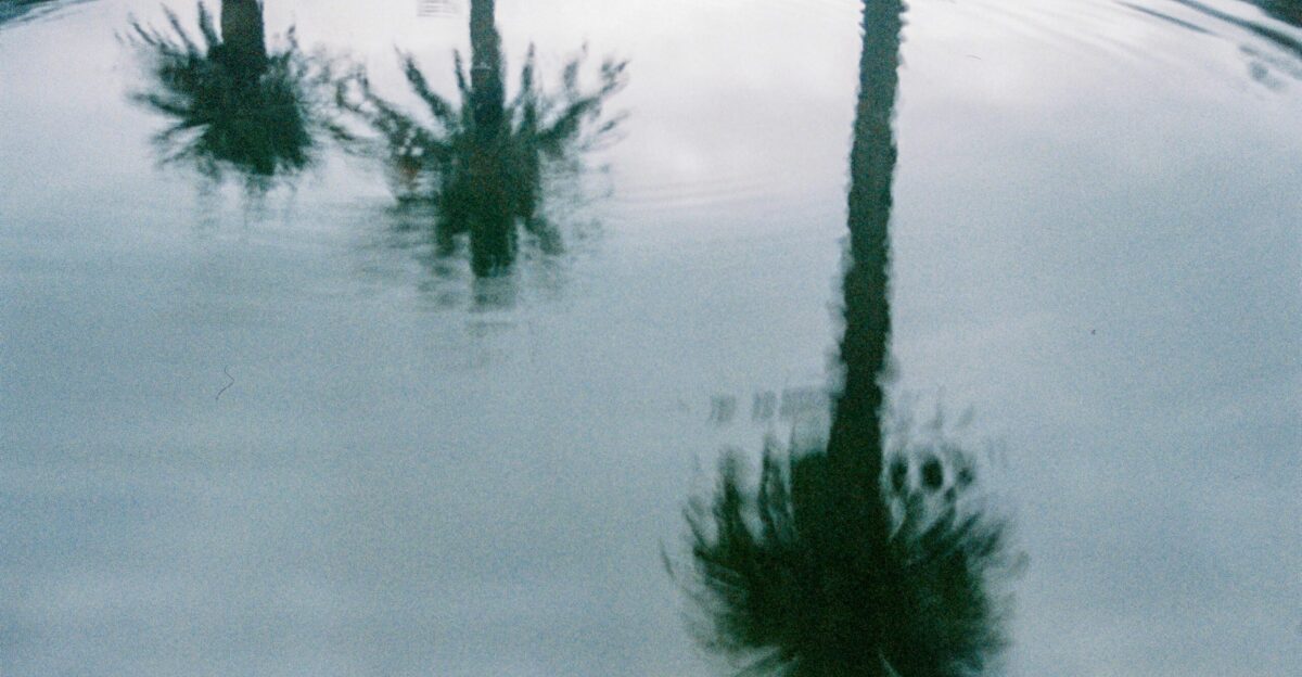palm trees are submerged in a pool of water