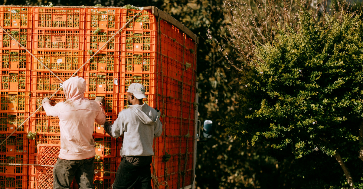 A group of people unloading a large box on the back of a truck