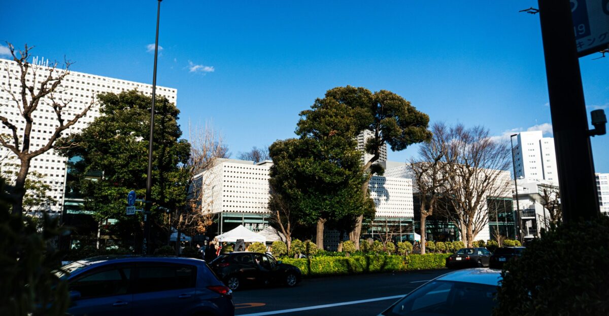 A street view featuring buildings and trees