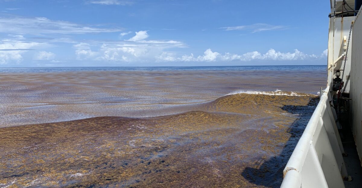 Study clearly identifies nutrients as a driver of the Great