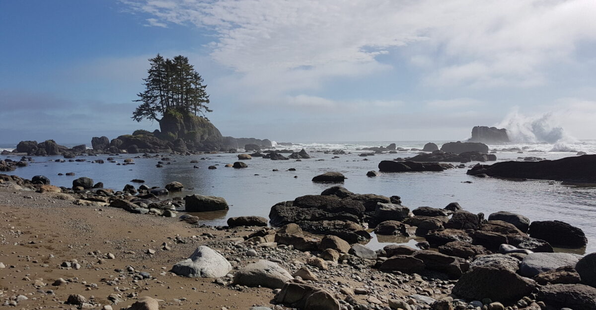 View of a small island on the shoreline somewhere between Carmanah Lighthouse and Cribs Creek