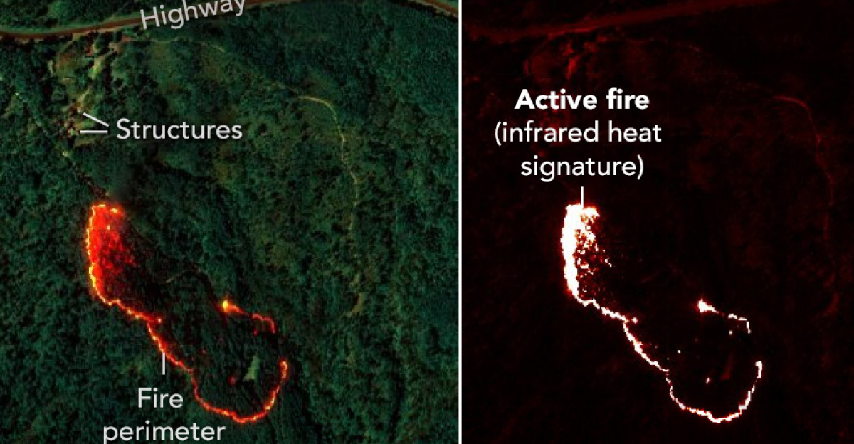 A NASA sensor recently brought a new approach to battling wildfire, providing real-time data that helped firefighters in the field contain a blaze in Alabama. Called AVIRIS-3 (Airborne Visible Infrared Imaging Spectrometer 3), the instrument detected a 120-acre fire on March 19 that had not yet been reported to officials.
<p>As AVIRIS-3 flew aboard a King Air B200 research plane over the fire about 3 miles (5 kilometers) east of Castleberry, Alabama, a scientist on the plane analyzed the data in real time and identified where the blaze was burning most intensely. The information was then sent via satellite internet to fire officials and researchers on the ground, who distributed images showing the fire’s perimeter to firefighters’ phones in the field.
</p><p>All told, the process from detection during the flyover to alert on handheld devices took a few minutes. In addition to pinpointing the location and extent of the fire, the data showed firefighters its perimeter, helping them gauge whether it was likely to spread and decide where to add personnel and equipment.
</p><p>“This is very agile science,” said Robert Green, the AVIRIS program’s principal investigator and a senior research scientist at NASA’s Jet Propulsion Laboratory (JPL), noting AVIRIS-3 mapped the burn scar left near JPL by the Eaton Fire in January. The AVIRIS-3 sensor belongs to a line of imaging spectrometers built at JPL since 1986. The instruments have been used to study a wide range of phenomena—including fire—by measuring sunlight reflecting from the planet’s surface.
</p><p>Observing the ground from about 9,000 feet (3,000 meters) in altitude, AVIRIS-3 flew aboard several test flights over Alabama, Mississippi, Florida, and Texas for the NASA 2025 FireSense Airborne Campaign. Researchers flew in the second half of March to prepare for prescribed burn experiments that took place in the Geneva State Forest in Alabama on March 28 and at Fort Stewart-Hunter Army Airfield in Georgia from April 14 to 20. During the March span, the AVIRIS-3 team mapped at least 13 wildfires and prescribed burns, as well as dozens of small hot spots (places where heat is especially intense)—all in real time.
</p><p>For the Castleberry Fire, shown at the top of this page on March 19, 2025, having a clear picture of where it was burning most intensely enabled firefighters to focus on where they could make a difference—on the northeastern edge.
</p><p>Then, two days after identifying Castleberry Fire hot spots, the sensor spotted a fire about 4 miles (2.5 kilometers) southwest of Perdido, Alabama (above). As forestry officials worked to prevent flames from reaching six nearby buildings, they noticed that the fire’s main hot spot was inside the perimeter and contained. With that intelligence, they decided to shift some resources to fires 25 miles (40 kilometers) away near Mount Vernon, Alabama.
</p><p>To combat one of the Mount Vernon fires (below), crews used AVIRIS-3 maps to determine where to establish fire breaks beyond the northwestern end of the fire. They ultimately cut the blaze off within about 100 feet (30 meters) of four buildings.
</p><p>During the March flights, researchers created three types of maps, which are shown above for the Perdido and Mount Vernon fires. One, called the Fire Quicklook (left), combines brightness measurements at three wavelengths of infrared light, which is invisible to the human eye, to identify the relative intensity of burning. Orange and red areas on the Fire Quicklook map show cooler-burning areas, while yellow indicates the most intense flames. Previously burned areas show up as dark red or brown.
</p><p>Another map type, the Fire 2400 nm Quicklook (middle), looks solely at infrared light at a wavelength of 2,400 nanometers. The images are particularly useful for seeing hot spots and the perimeters of fires, which show brightly against a red background. A third type of map (right), called just Quicklook, shows burned areas and smoke.
</p><p>The Fire 2400 nm Quicklook was the “fan favorite” among the fire crews, said Ethan Barrett, fire analyst for the Forest Protection Division of the Alabama Forestry Commission. Seeing the outline of a wildfire from above helped Alabama Forestry Commission firefighters determine where to send bulldozers to stop the spread.
</p><p>Additionally, FireSense personnel analyzed the AVIRIS-3 imagery to create digitized perimeters of the fires. This provided firefighters with fast, comprehensive intelligence of the situation on the ground.
</p><p>Data from imaging spectrometers like AVIRIS-3 typically takes days or weeks to be processed into highly detailed, multilayer image products used for research. By simplifying the calibration algorithms, researchers were able to process data on a computer aboard the plane in a fraction of the time it otherwise would have taken. Airborne satellite internet connectivity enabled the images to be distributed almost immediately, while the plane was still in flight, rather than after it landed.
</p><p>“Fire moves a lot faster than a bulldozer, so we have to try to get around it before it overtakes us. These maps show us the hot spots,” Barrett said. “When I get out of the truck, I can say, ‘OK, here’s the perimeter.’ That puts me light-years ahead.”
</p><p>AVIRIS and the FireSense Airborne Campaign are part of NASA’s work to leverage its expertise with airborne technologies to combat wildfires. The agency also recently demonstrated a prototype from its Advanced Capabilities for Emergency Response Operations project that will provide reliable airspace management for drones and other aircraft operating in the air above wildfires.
</p>
NASA Earth Observatory images annotated by Lauren Dauphin using AVIRIS-3 data via the AVIRIS Data Portal. Story by Andrew Wang, adapted for NASA Earth Observatory.