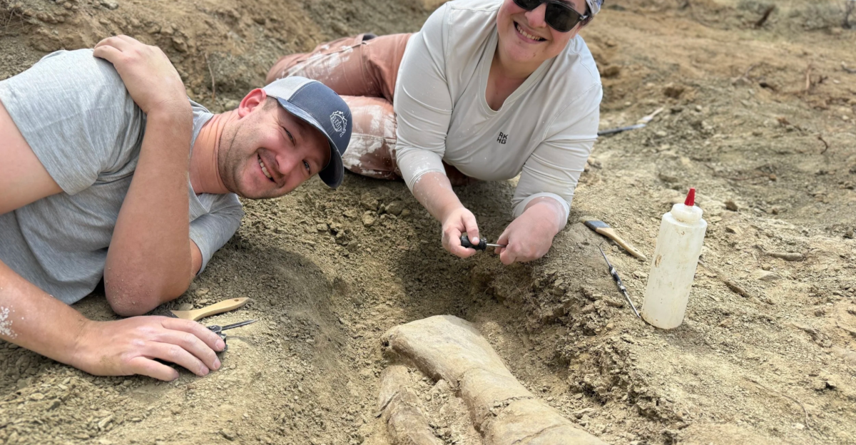 Fossil Dig Expeditions - Elevation Science Institute