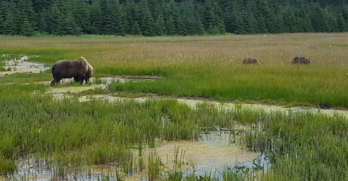 Lake Clark National Park
