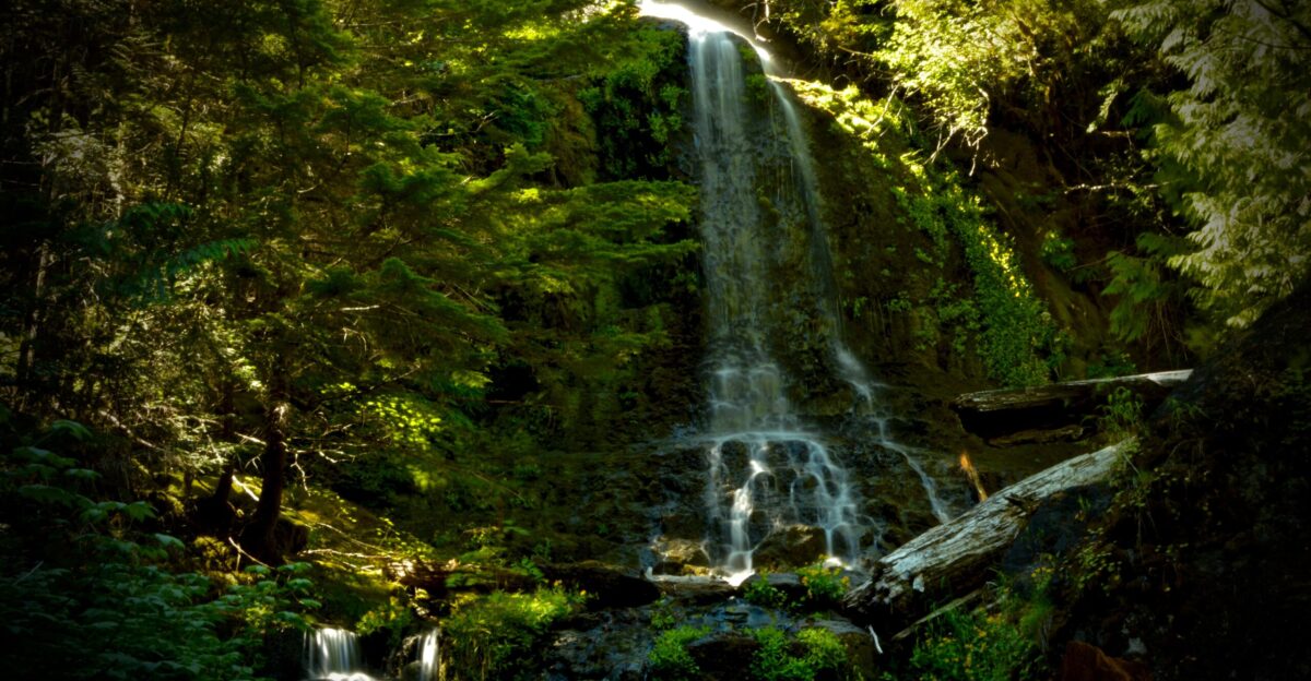 With summer comes melting glaciers an nowhere is this melting more magnificent than on Washington State s Mt Ranier The huge ice cap hold millions of tons of water which present themselves in a myriad of falls through Mt Ranier National Park
