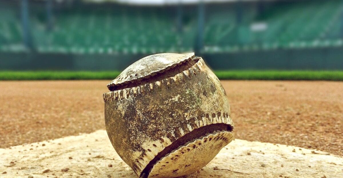 baseball summer nature game sport baseball field baseball background ball