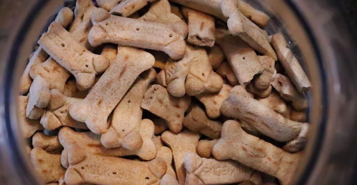 dog treats bone biscuit dog food pet food closeup dog treats dog treats dog treats dog treats dog treats dog food pet food