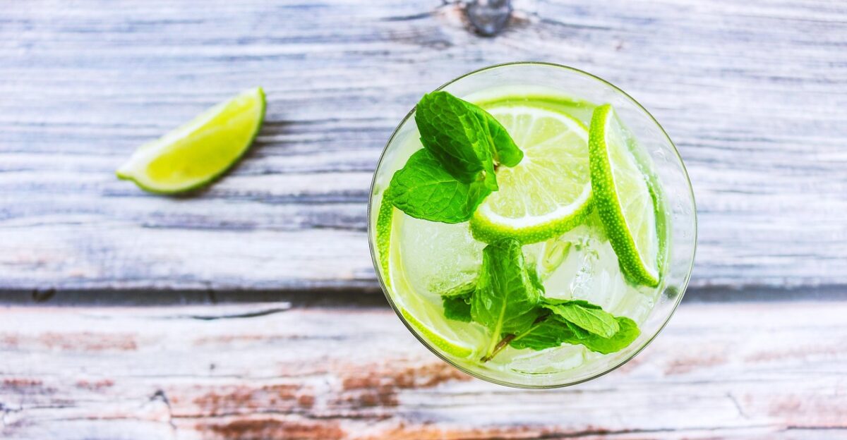 cocktail beverage lemon ice water glasses mint tumblr wallpaper