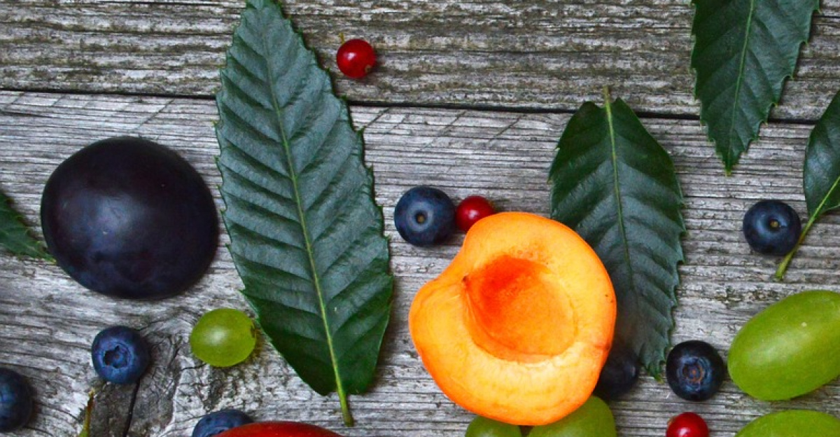 fruits, melon, peach, grape, apricot, fruit, healthy, food, watermelon, red, fine, fresh, juicy, green, sweet, ripe, sliced, nature, recreation, vitality, vitamins, refreshments, summer, mood, color, scent